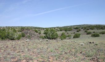CR 212-11-013A, Concho, AZ 85924
