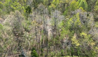 TRACT 2 W MAIN, Adamsville, TN 38310