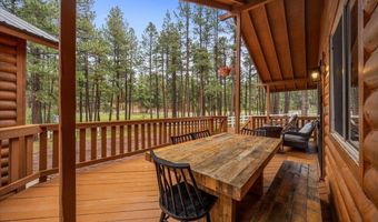 11 Whitetail Rd, Alpine, AZ 85920