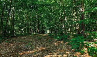 Old Grist Mill Road, Appomattox, VA 24522