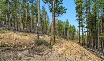 653 Summit Gulch Rd Lot 1, Breckenridge, CO 80424