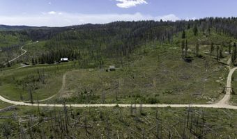 217 FISHERMAN CREEK Rd, Bondurant, WY 82922