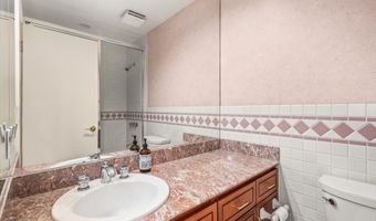 431 W Hopkins Ave, Aspen, CO 81611