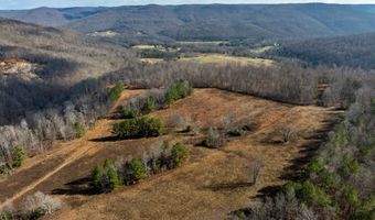 700 Acres Puncheon Creek Ln, Allred, TN 38542