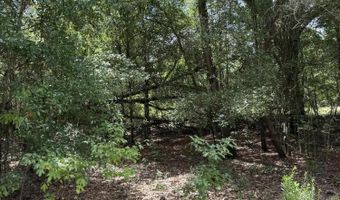 248 Ball Park Rd, Alford, FL 32420