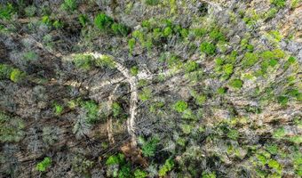 61 AC Hidden Cove Ln, Allons, TN 38541
