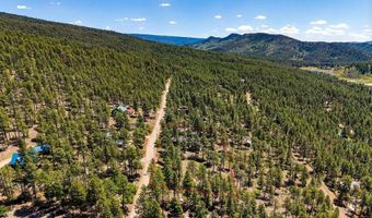 1024 Deer Ridge Dr, Bayfield, CO 81122