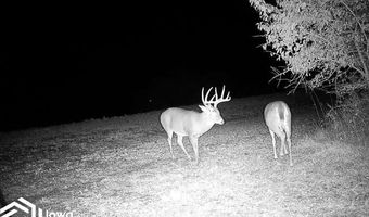 560 Th Ave, Albia, IA 52531