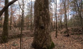 Saint John Road, Braxton, MS 39044