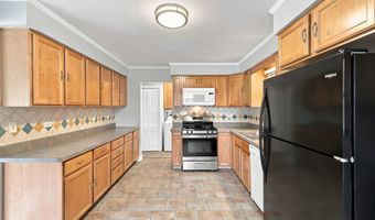 1113 S Haddow Ave, Arlington Heights, IL 60005