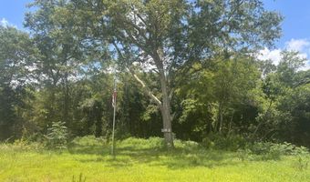 0 CR-215, Ariton, AL 36311