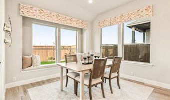 2017 Amber Gate Dr, Anna, TX 75409