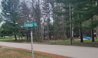 6249 Wolverine Trl, Alger, MI 48610