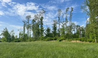 0 Gayle Bolin Rd, Albany, KY 42602