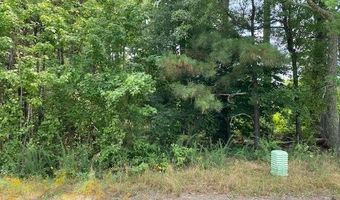 Lot 1-D Daniels Lane, Bennettsville, SC 29512