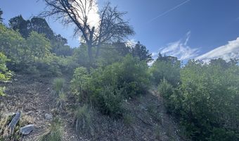 718 Silver Oak Dr, Glenwood Springs, CO 81601