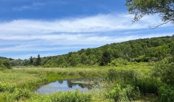 0 Woodland Hills Rd, Andes, NY 13731
