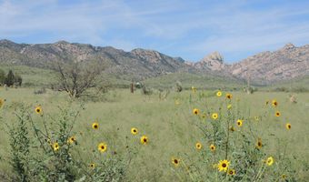 80 AC - Near Ironwood Rd, Cochise, AZ 85606