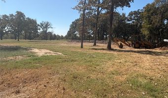 5047 N FM 17, Alba, TX 75410