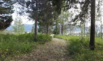 PINE Street lot 4, Alpine, WY 83128