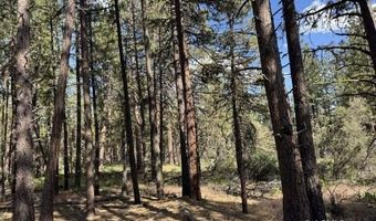 Thunder Bear Road, Bonanza, OR 97623