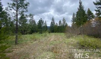 104 Coit Dr, Cascade, ID 83611