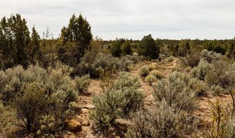 1600 S, Apple Valley, UT 84737