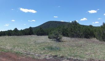 TBD Parcel 106-69-005G, Vernon, AZ 85940