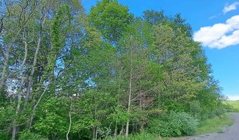 Hudson Mill Road, Albright, WV 26519