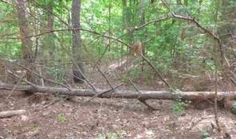 Winfield Road, Appling, GA 30802