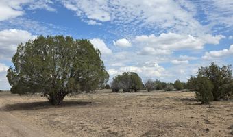 64 Antelope Run, Ash Fork, AZ 86320