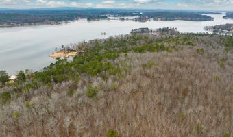34 Acres- Mtn CONSTELLATION DRIVE Lot 34+ Acres-Mtn Tract One, Alpine, AL 35014