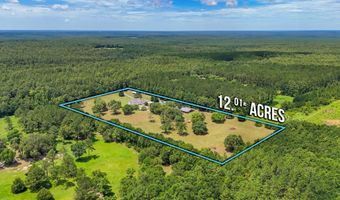 652 Tommy Eiland Rd, Baker, FL 32531