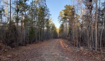 Spann Road, Batesburg Leesville, SC 29006