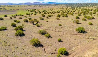 Co Rd 5106 Lots # 1 & 2 2.2 Acr, Concho, AZ 85924