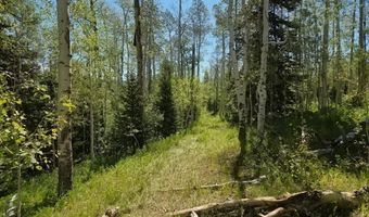 40 Acres Summit Mountain Rd, Brian Head, UT 84719