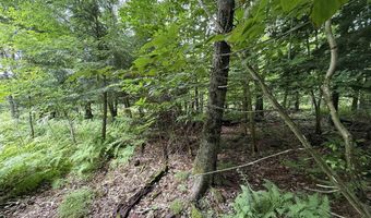 1386 Clif Reynolds Rd, Cambridge, VT 05444