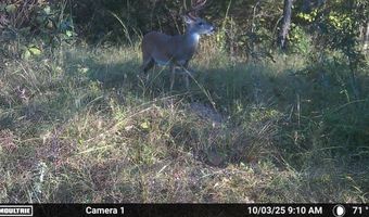 N80 Helt Rd, Antlers, OK 74525