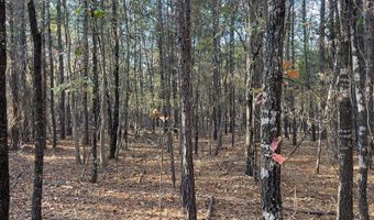 0 E 1912 Rd, Antlers, OK 74523