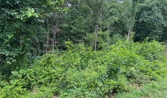 Lot 2 Baltes DR, Bella Vista, AR 72714