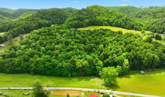 16037 Knights Bridge Rd, Abingdon, VA 24210