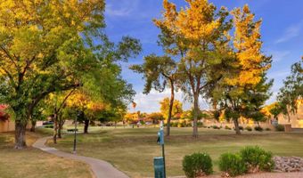 4645 W Ivanhoe St, Chandler, AZ 85226