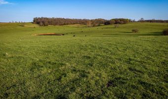 006 County Road 14, Aldrich, MO 65601