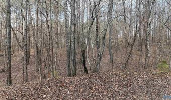 002 Toney Dr, Altoona, AL 35952