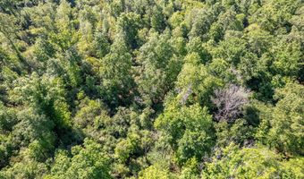 1111 TX- 21, Alto, TX 75925