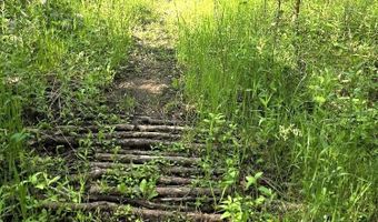 Martin Road, Alpena, MI 49707