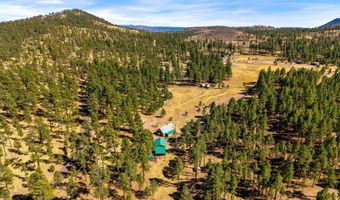17 County Road 2114, Alpine, AZ 85920
