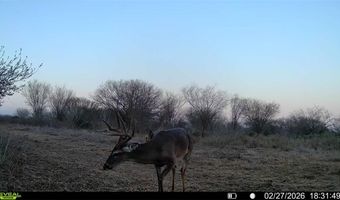CR 119 lot 0, Alice, TX 78332