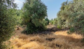 0 Sara Jane Ln, Anderson, CA 96007