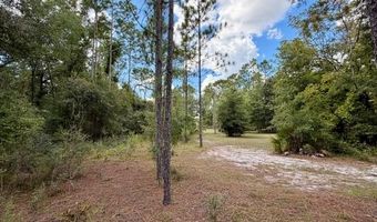 4850 NW 55th Ave, Bell, FL 32619